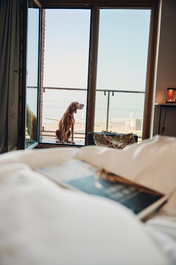 Two-room apartment with sea view and balcony - Rodehuus